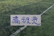 星空体育-中超前15轮 各队代表球星！大连马莱莱打出身价